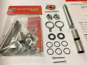 Overhaul Kit - (Services two pegs.)